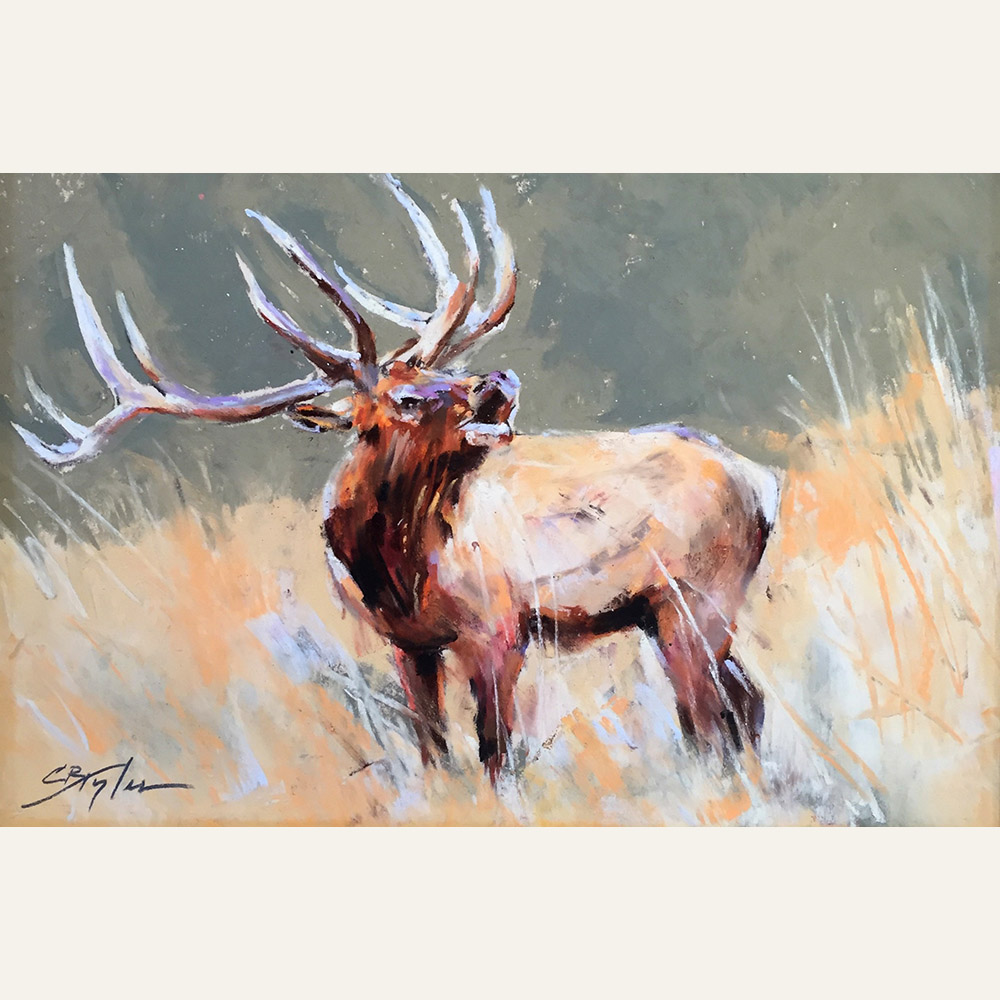 CT16-07 Elk Calling 7x10 pastel $950  WEB