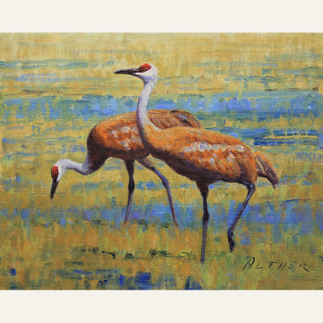 Late Summer Cranes 8x10 copy