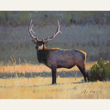 Standing Elk 8x10 copy