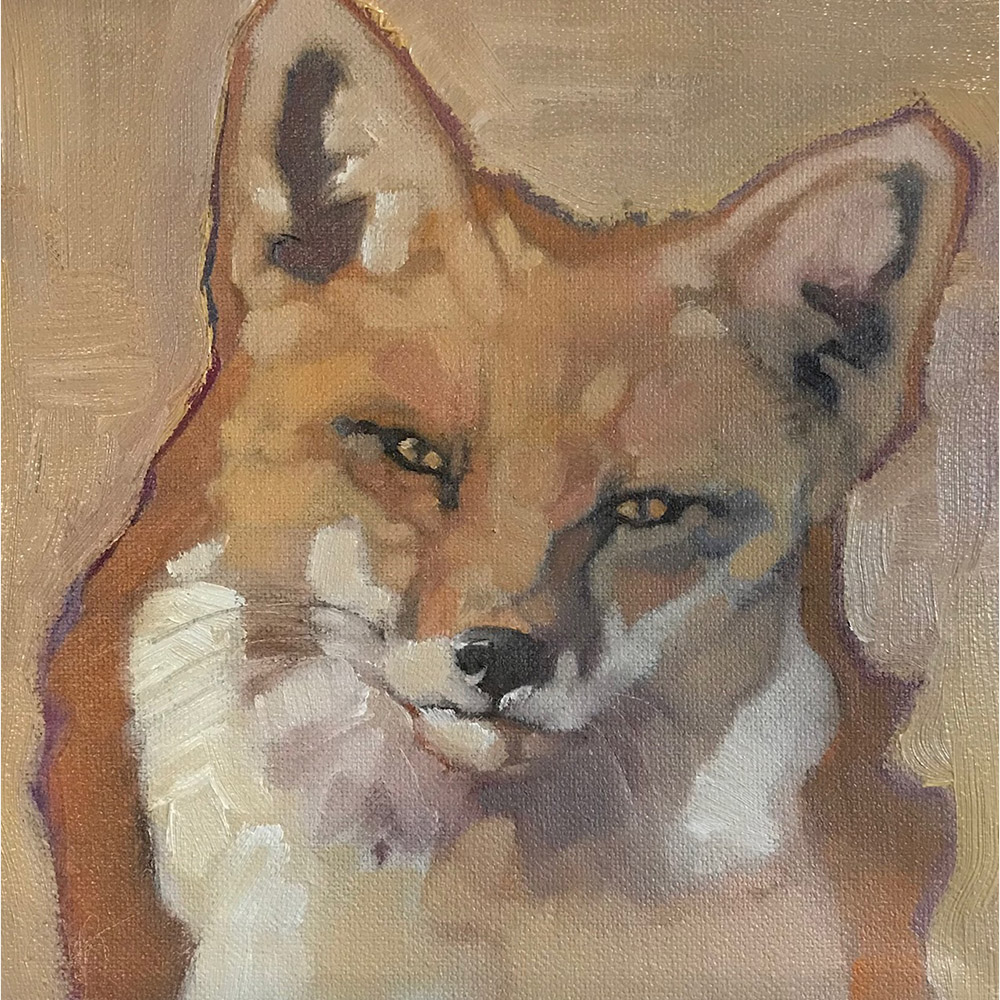 Vixen SOLD