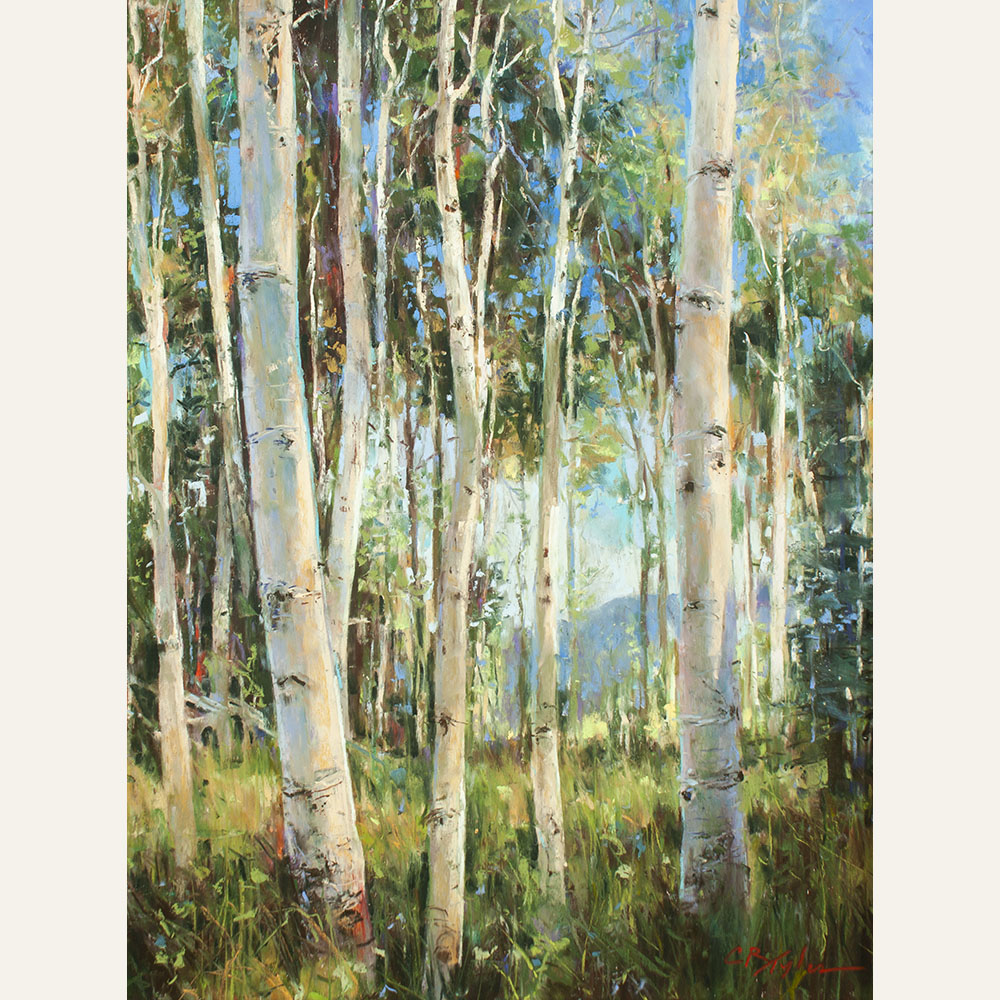 CT18-05 Summer Aspens 18x14 oil 2600 F WEB