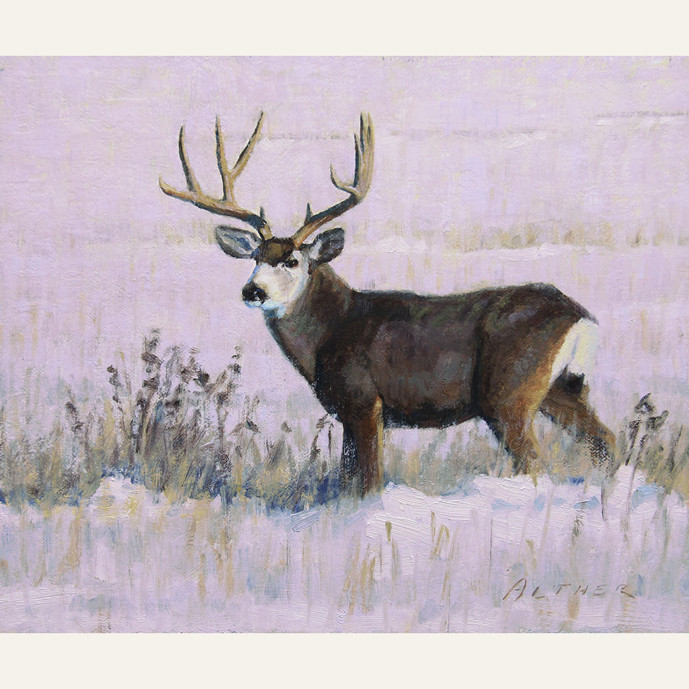 WA19-03 December Buck 10x12 oil 1500 F WEB