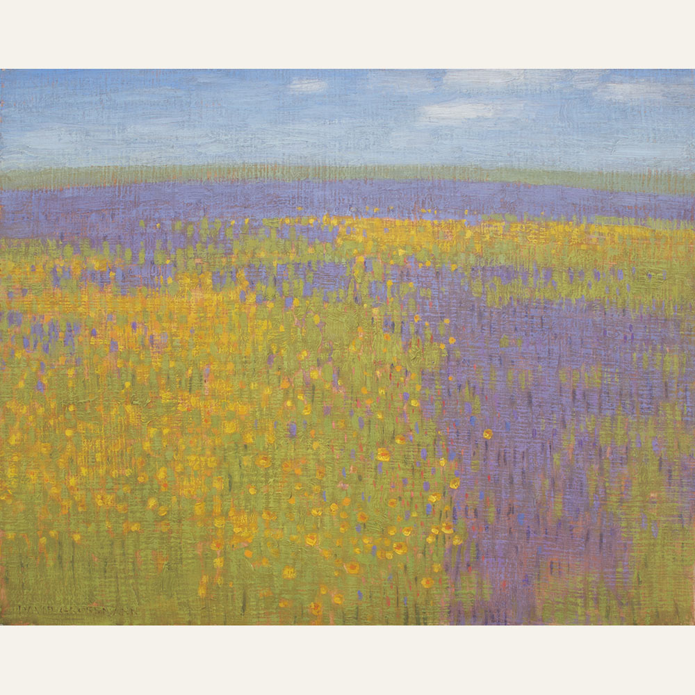 DG19-24 Wildflower Field 16x20 oil 3700 F WEB SOLD