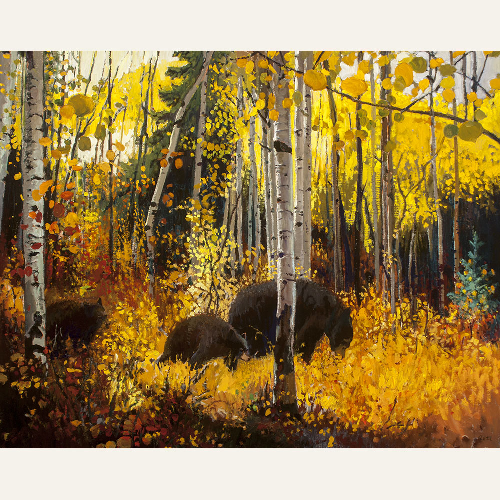 NR19-24 Bears in Dark Canyon 24x30 oil NFS WEB