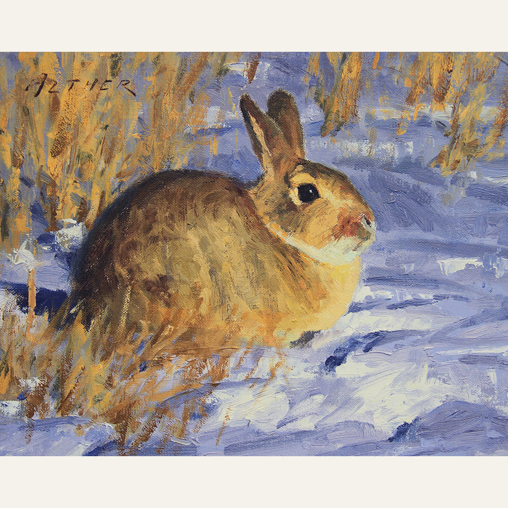 WA19-05 Winter Cottontail III 8x10 oil 1100 F WEB