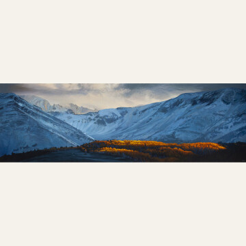 Sunrise, First Snow, Elk Mountains 24x72