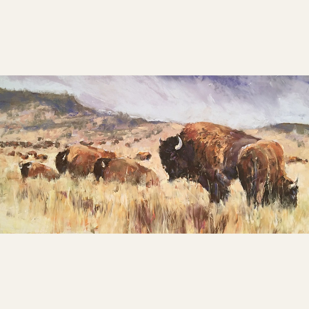 Bison Praire 8x16