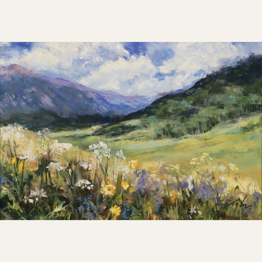 CT21-05 Meadow Valley 7x10 pastel 950 F WEB