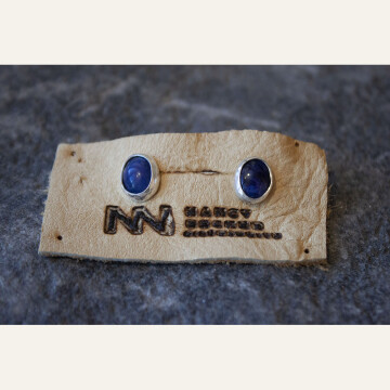 NEB21-30 Lapis Lazuli Post Earrings 150 WEB