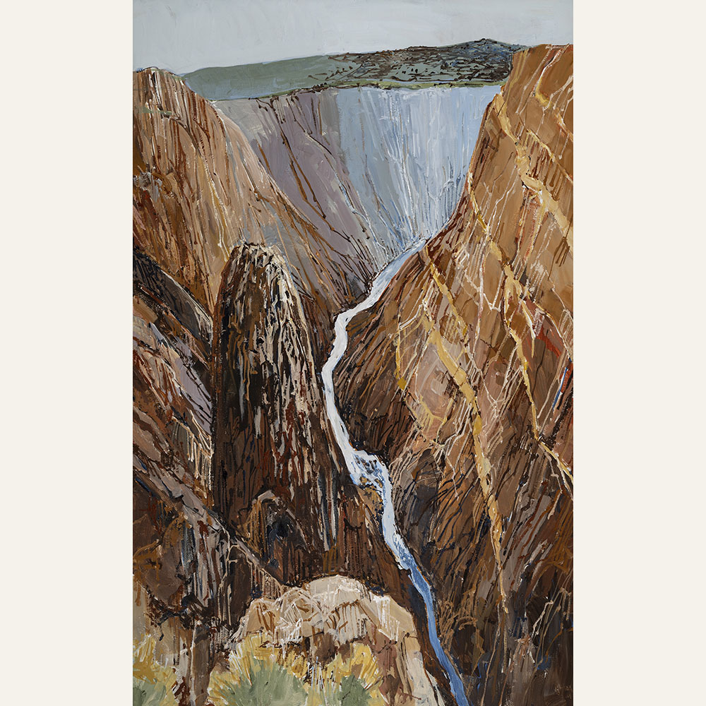 DA22-05 Black Canyon View IV 32x20 acrylic 4200 F WEB