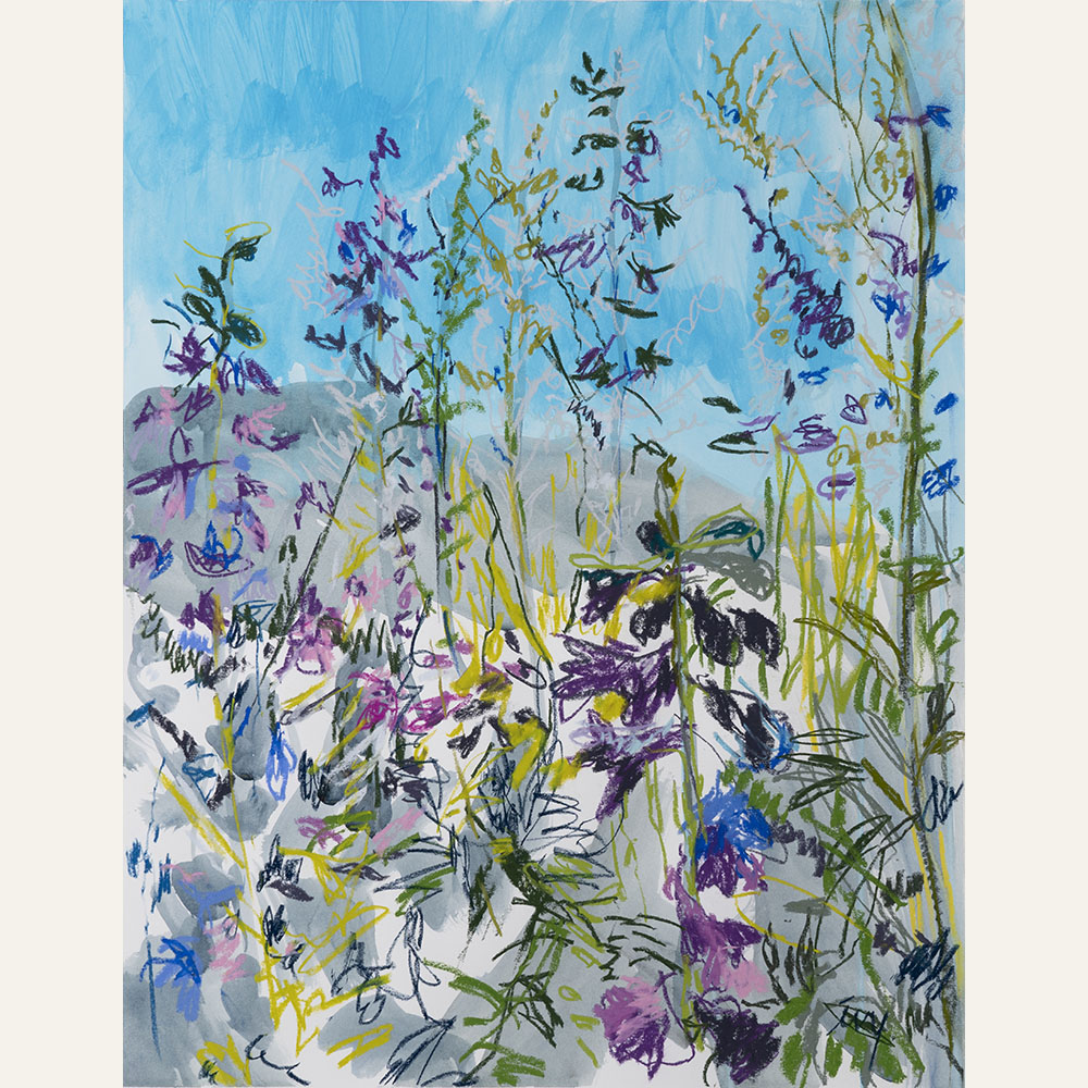 IK22-06 Wild Larkspur 30x22 pastel:acrylic 3350 F WEB