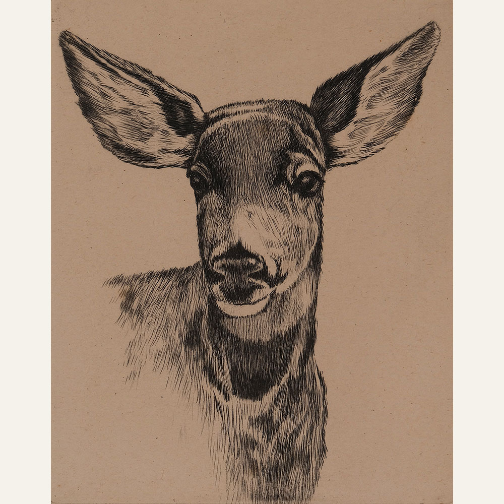 LYB22-01 Molly (Doe) 5x3.75 etching 200 F WEB