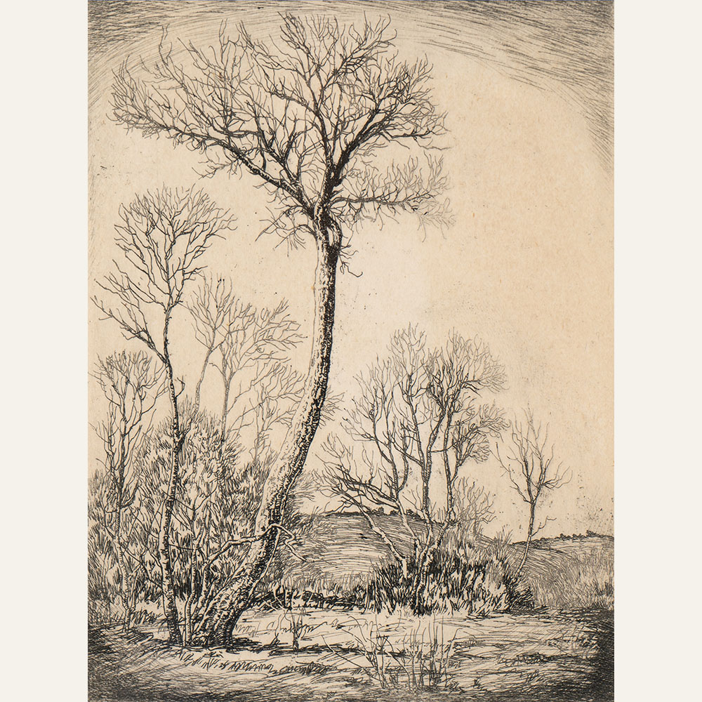 LYB23-03 Wildwood 8x6 intaglio 550 FWEB