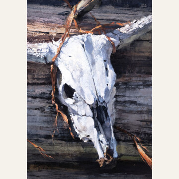 JSU24-01 Bison Skull 28 x 20 oil 7000 F WEB