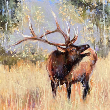 CT24-10 Bull Elk Fall Meadow 10x10 pastel 1200 F WEB