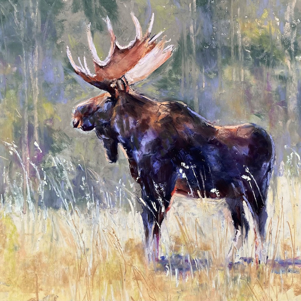 CT24-12 Mull Moose Meadow 10x10 pastel 1200 F WEB