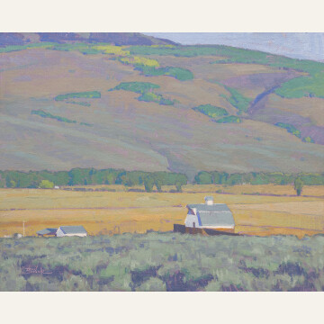 DSH24-03 Valley Ranchland 16x20 oil 2,900 F WEB