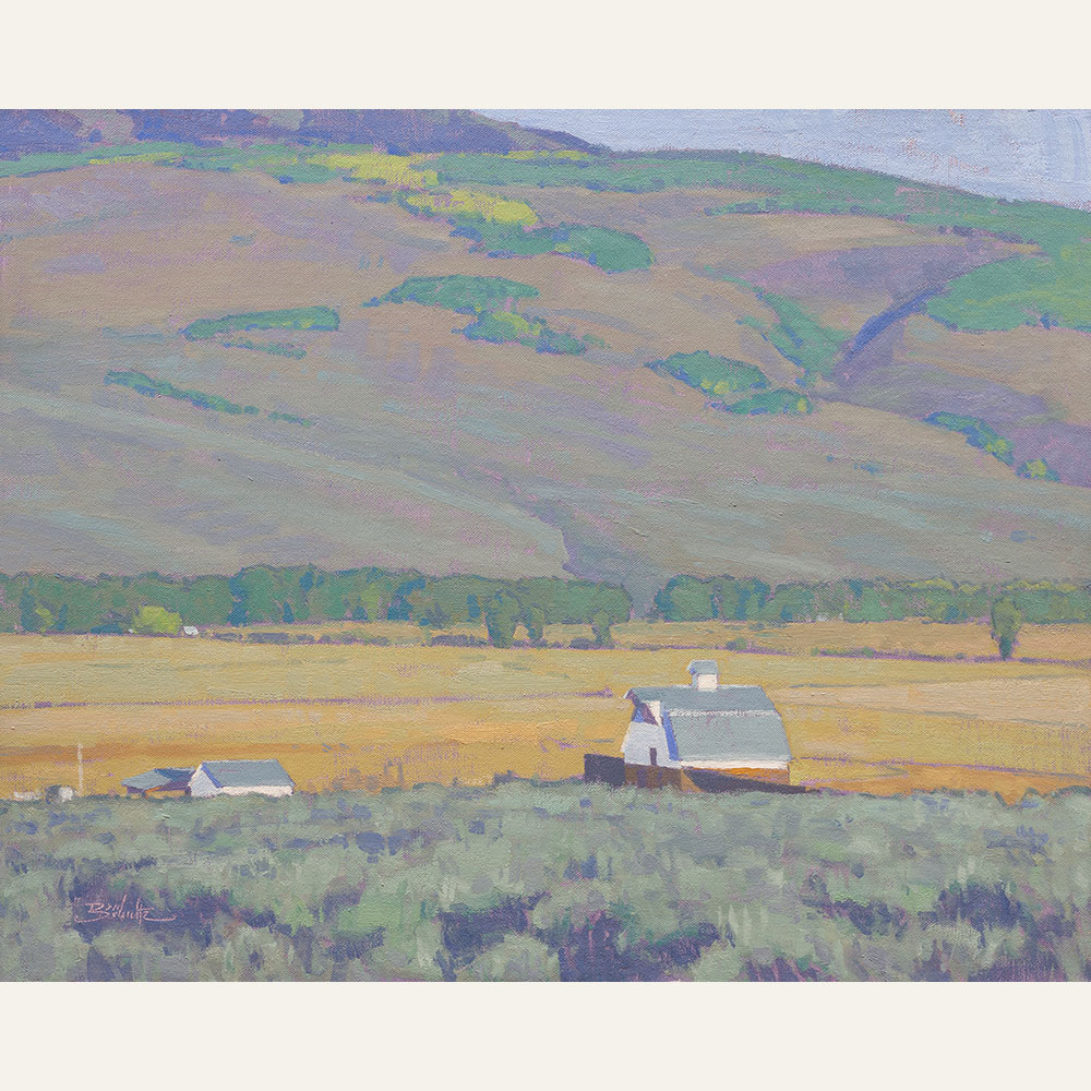 DSH24-03 Valley Ranchland 16x20 oil 2,900 F WEB