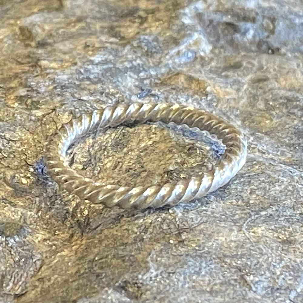 JMK24-Thick Twist Ring Argentium $55