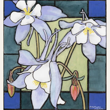 PS24-01 Stained Glass Columbine 15.5x15.75 wc ink resist F 950 WEB