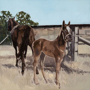 MSN24-06 Horses At the Stable 30x30 oil 2400 F