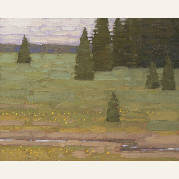 DG24-08 Mesa Top Summer Pine Trees 8x10 oil 2400 F WEB